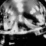 Illustration du profil de Bourgeot